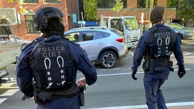 Man in court for carjacking spree wielding fake gun