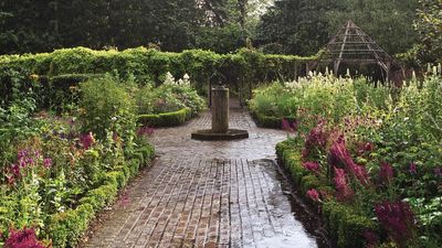 I Tried This Method of Rainwater Harvesting Without a Gutter and It Instantly Cut My Water Bill – Plus 2 Other Methods For Low Effort Water Collection