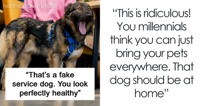 “You Look Perfectly Healthy”: Lady Attacks Shopper For Service Dog Fraud, Begs For Forgiveness Moments Later