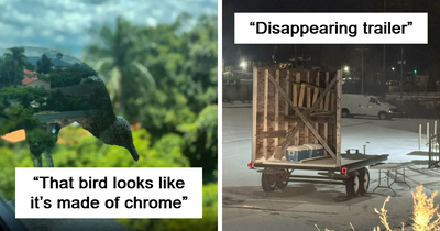 “Freaks Me Out Every Time I See It”: 76 Unphotoshopped Pics That Look Fake But Are 100% Real