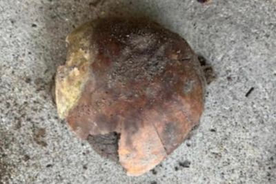 Coroner describes ‘remarkable discovery’ of 4,000-year-old human skull in Indiana