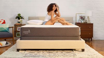 Cocoon by Sealy Promo Codes in October -