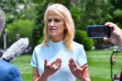 Kellyanne Conway Reveals 'People Were Throwing Money at Me' After Trump 2016 Win, Says It Was the Kind of Sums She'll 'Probably Never See Again