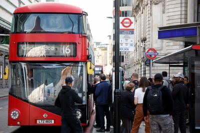 After Giant Rats In UK, Now London Buses Are Infested With Roaches, Drivers Say - What's Going On?
