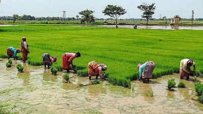 The menstrual leave policy in Karnataka leaves many women behind