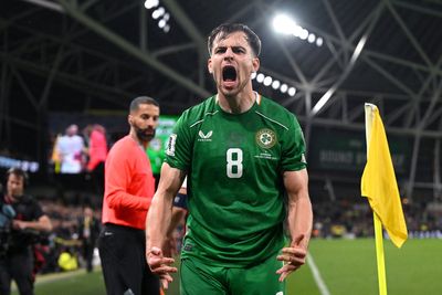 Ireland must do something special to qualify for World Cup