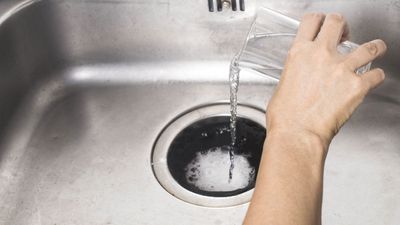 Experts are advising homeowners to pour vinegar down their drains this October — here's why