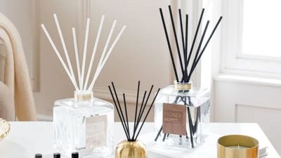 12 Places to Buy 'Giant' Reed Diffusers That Make Your Home Smell Dreamy, and the Pros and Cons to Know Before You Buy a Big One