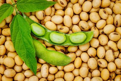 Soybean Short Squeeze: Cooking Oil Stocks Pop After Trump Targets China