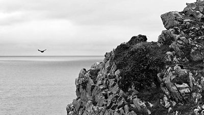 I'm not a landscape photographer, but I tried using my phone for landscape photography – and I’m impressed!