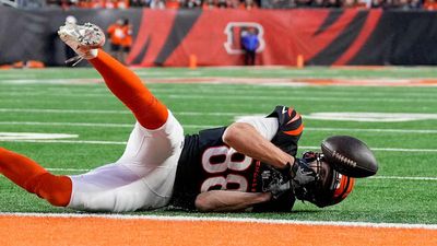 Mike Gesicki Update: Bengals Make Roster Decision on Tight End Following Pec Injury