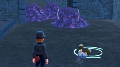 How to find a Revitalizing Twig in Pokémon Legends Z-A