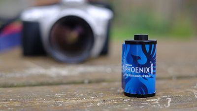 Harman Phoenix II 35mm film review: It’s still unpredictable, and I love it