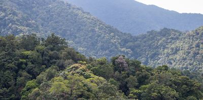 A crucial store of carbon in Australia’s tropical forests has switched from carbon sink to carbon source