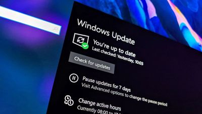 Windows 10 protesters demand free security updates through 2030 to ward off forced obsolescence — Microsoft's ESU is just a 12-month "snooze button"