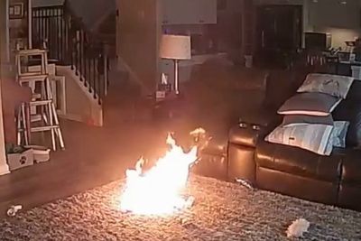 Dog starts house fire after chewing on lithium battery