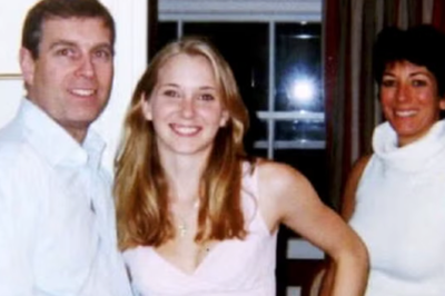 Prince Andrew believed having sex with me was his birthright, Virginia Giuffre memoir claims