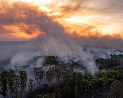 CO2 from wildfires increases by 9% as climate crisis supercharges infernos