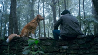 Good Boy made me realize I've judged horror fans who fuss over furry on-screen stars too hard, and now I've found 9 more scary movie dogs that prove them right