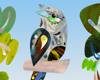 Tawny frogmouth named 2025 Australian bird of the year winner