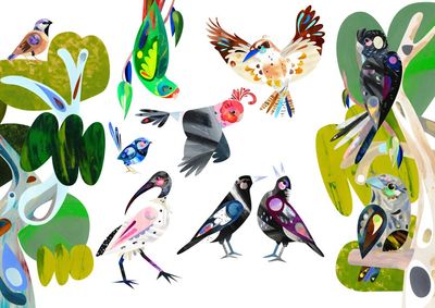 Download your free official Australian bird of the year 2025 poster