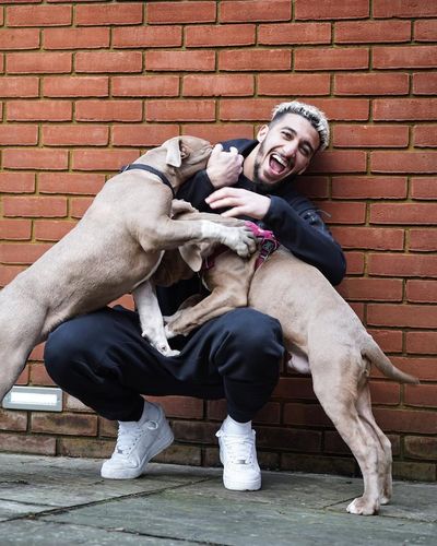 Ex-West Ham star Said Benrahma fined £12,000 over dangerous dogs that attacked golden retriever