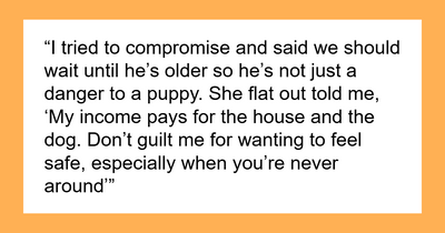 “[Am I The Jerk] For Being Furious My Wife Brought Home A Dog For Our 4YO For Her Safety?”