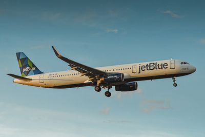JetBlue Passenger Mistakes 'Barking Dog' Noise for Failure, Tries to Open Exit Mid-Flight