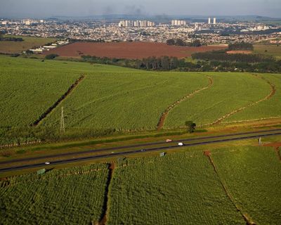 Brazil to ask countries at Cop30 to vastly increase biofuel use, leak suggests