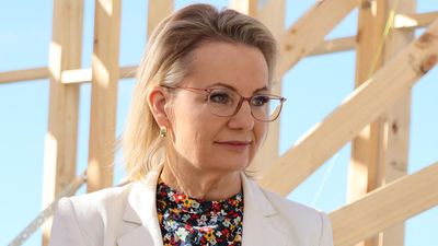 'Kind of boring': senator sick of party navel gazing