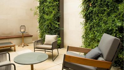 Vertical Indoor Garden Ideas – 7 Beautiful Ways to Add a New Dimension to Your Plant Display