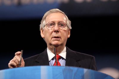 US Senator Mitch McConnell Falls While Being Asked About ICE