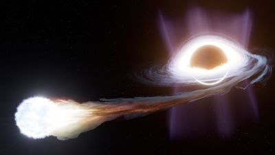 Rule-breaking black hole destroys star in puzzling way: 'This is truly extraordinary'