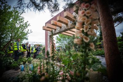 Defra identifies five key plant types to help make gardens ‘flood-ready’