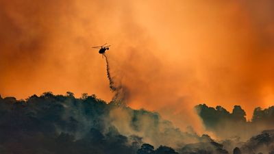 CO2 levels reach record new high, locking in more global warming