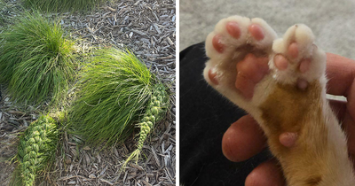 136 Times People Saw Something Moderately Interesting And Decided To Share It With The World (New Pics)