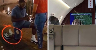 1.4M People Are Chuckling At These Pictures That “Go Hard,” So Here Are 50 Of The Very Best (New Pics)