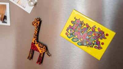 Do fridge magnets increase energy bills? Experts reveal the truth about your souvenirs