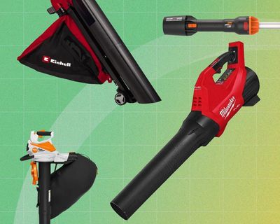 The best leaf blowers: 10 favourites to speed up raking – plus smart ways to reuse your fallen leaves