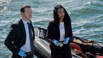 How to watch 'Boston Blue' for *FREE* — stream the new police procedural starring Donnie Wahlberg online from anywhere