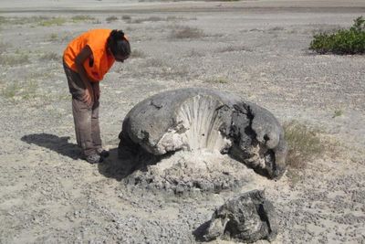 Evidence of catastrophic medieval tsunami in Caribbean reveals future risk to British Virgin Islands