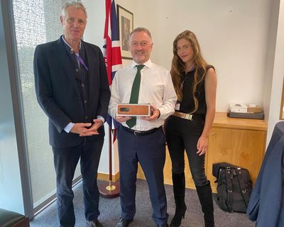 Government U-turns on support for bird-friendly swift bricks in new homes