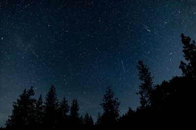 Orionid meteor shower peaks tonight and stargazers are in for a ‘rare’ treat
