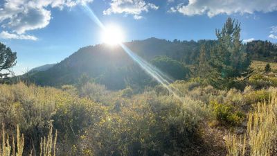 Utah Senator Mike Lee Still Hates You Have Access to Public Lands In Latest Proposal
