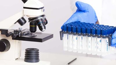 The FDA Just Granted Its Speediest Review Ever. Disc Medicine, Others Fly.