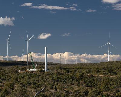 Queensland anti-renewables group cited nonexistent papers in inquiry submissions using AI, publisher says
