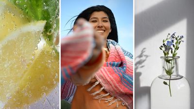 These sample photos prove that Nikon’s first DX-format macro lens for Z mount isn’t just a one-trick pony