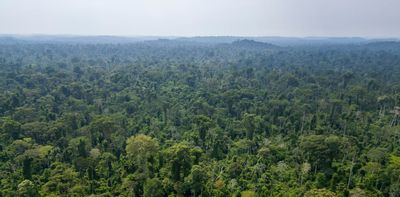Protecting Brazil and Indonesia’s tropical forests requires political will, law enforcement and public pressure