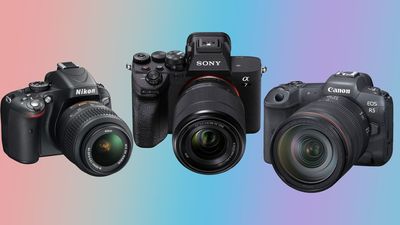 Mixing camera brands is a rookie mistake that could cost you thousands and even make photography harder