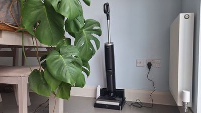 This budget-friendly, wet-and-dry vacuum's cleaning powers that are right up there with the premium models I've tested